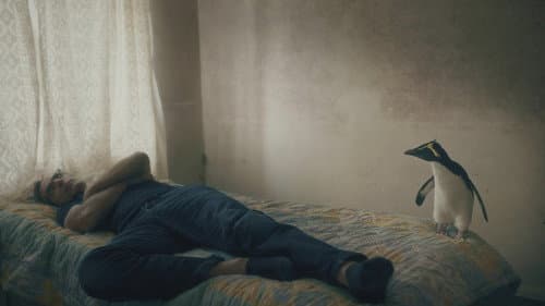 Tristan Forever Bild 3