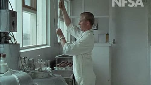 Life in Australia: Mount Gambier Bild 2