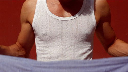 ¡Dolores guapa! Bild 4