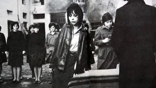 Вълчицата Bild 1