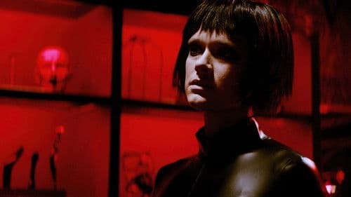 Dogs don't wear Pants Bild 3