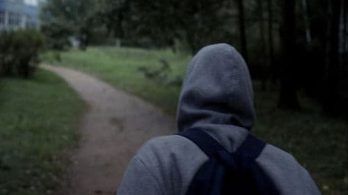 Сложноподчиненное Bild 1