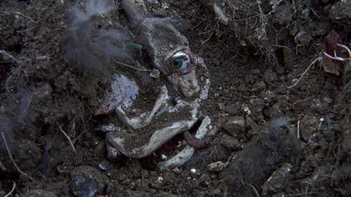 In den Krallen des Hexenjägers Bild 6