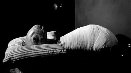 Eraserhead Bild 1