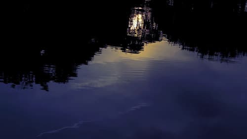 Denomination: Sorrow Bild 1