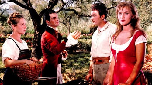 Az aranyember Bild 1