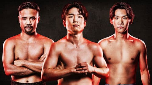 U-NEXT BOXING.3 Bild 1