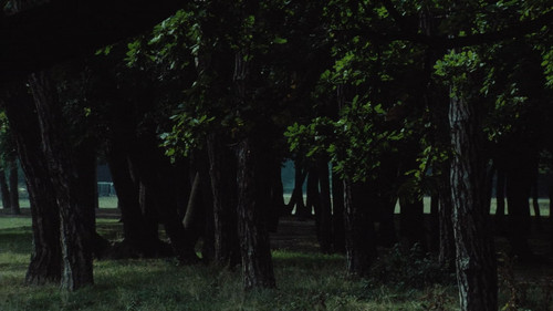 Le Navire Night Bild 1