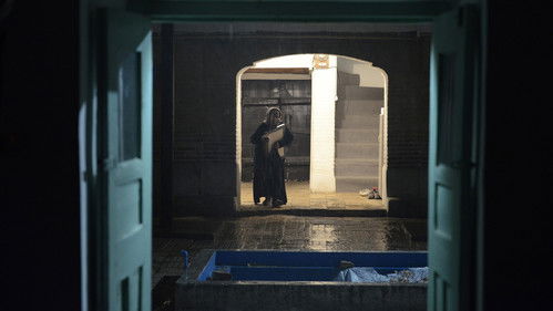 کاتی فڕینی کەوەکان Bild 2