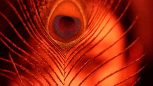 The Inner Demon / The Inner Angel Bild 1