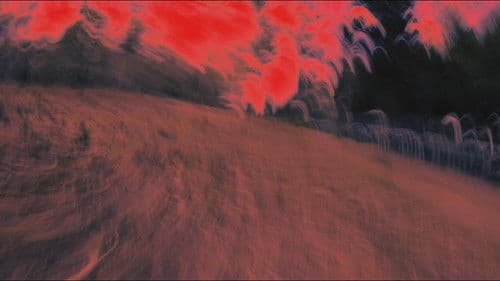 Escopaestesia Bild 6