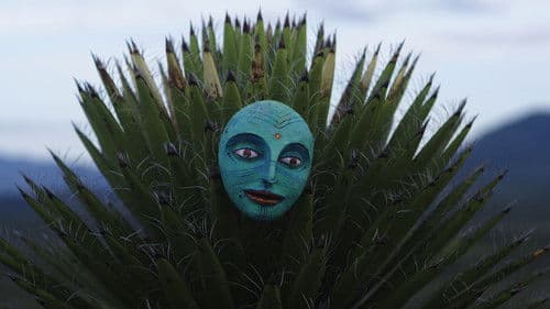 El Carretón del Desierto Bild 1