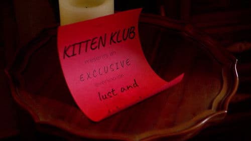 The Kitten Klub Bild 4