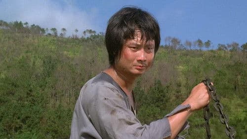 Hurra, die Knochenbrecher sind da! Bild 3