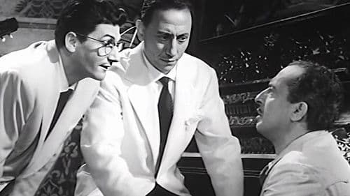 Caravan Petrol Bild 2