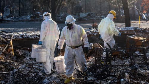 Fire in Paradise Bild 2