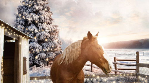 December Horses Bild 1