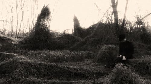 Quiéreme Mucho Bild 3