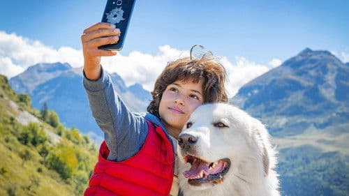 Belle & Sebastian - Ein Sommer voller Abenteuer Bild 2