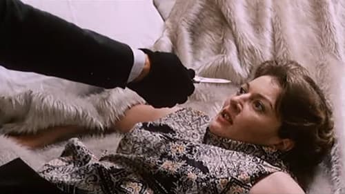 Because of the Cats Bild 1