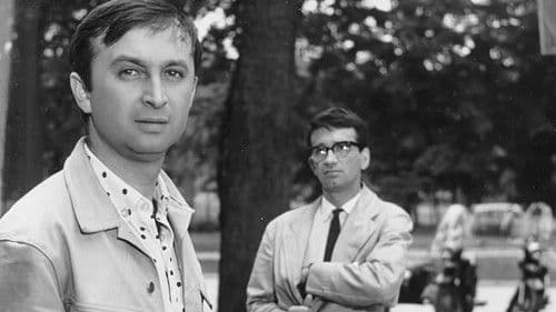 Kochajmy syrenki Bild 7