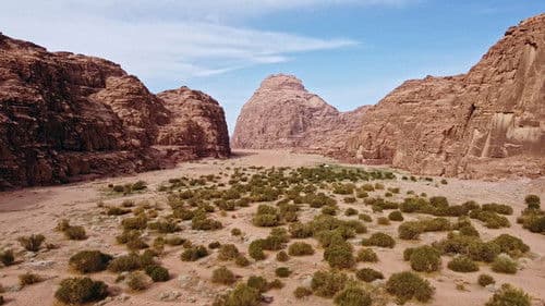 ماذا يأكل السعوديون Bild 2