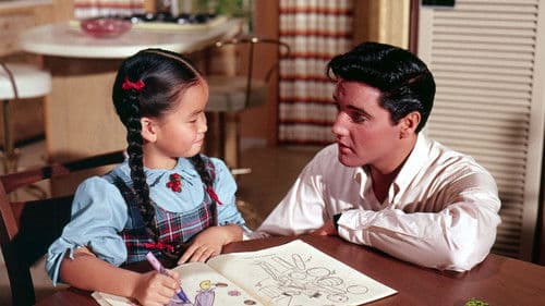 Ob blond, ob braun Bild 5