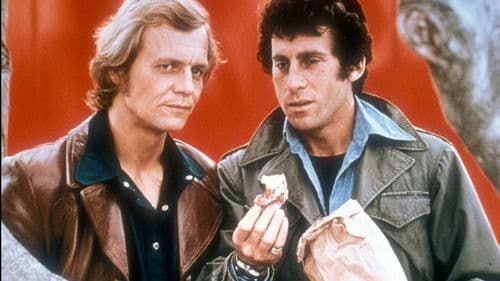 Starsky & Hutch Bild 2