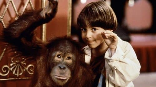 Dunston - Allein im Hotel Bild 3