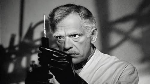 Before I Hang Bild 5