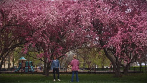 Stephanie Stevens Bild 1