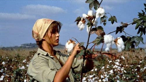 Im Schatten der Golanhöhen Bild 3