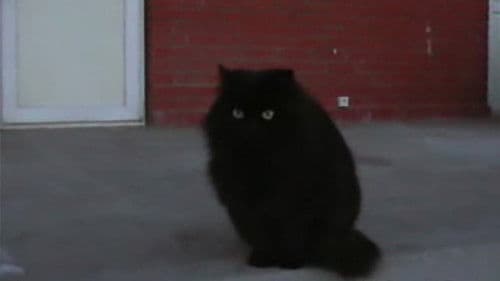 Джерусалим-Лот Bild 4