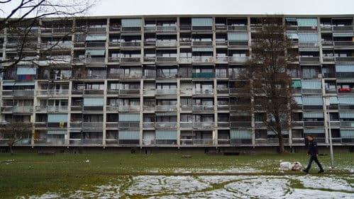 Gyrischachen - von Sünden, Sofas und Cervelats Bild 1