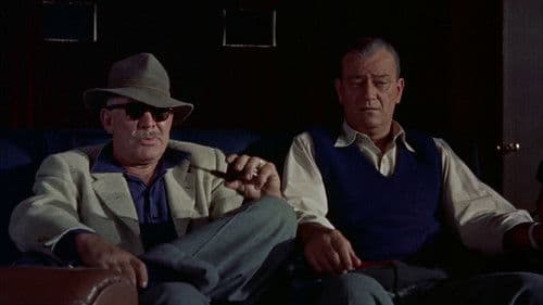 Dem Adler gleich Bild 2