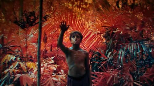 Lord of the Flies Bild 7