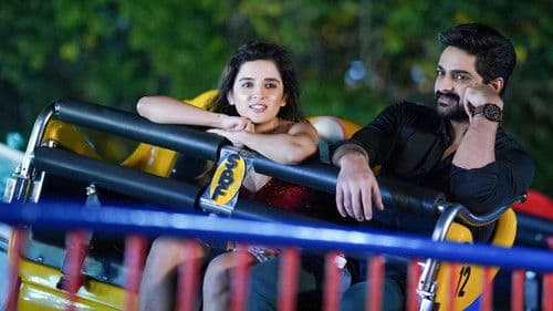 కృష్ణ వ్రింద విహారి Bild 7