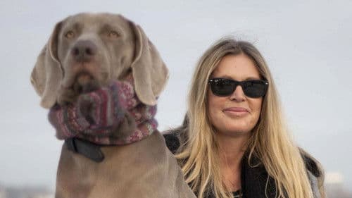 Walking with Dogs: A Wonderland Special Bild 1