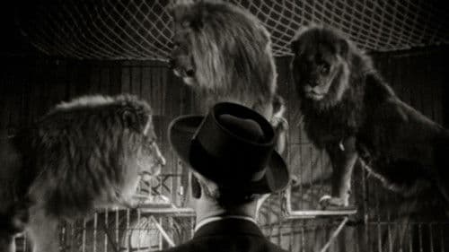 Keine Angst vor großen Tieren Bild 2