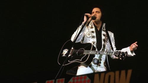 Elvis on Tour Bild 4