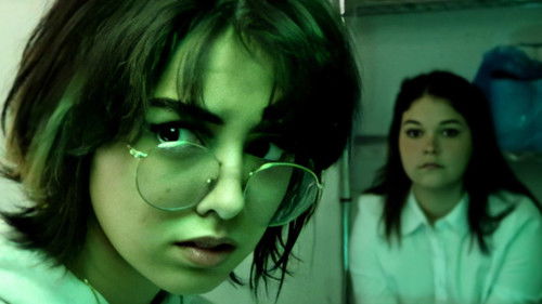 Rosemary & Sage Race Against Thyme Bild 1