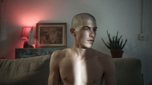 Night of Love Bild 4