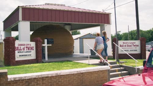 Different Flowers Bild 5