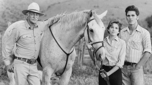 Mein Freund das Wildpferd Bild 1