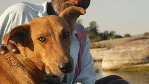 Man's First Friend Bild 1