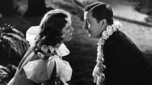 Die Liebe auf Hawaii Bild 2