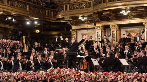 Neujahrskonzert der Wiener Philharmoniker 2018 Bild 1