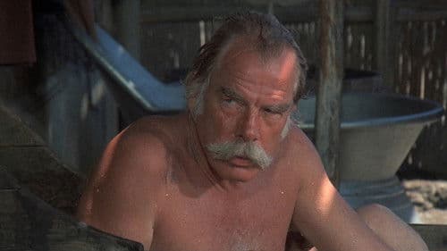 Vier Vögel am Galgen Bild 6