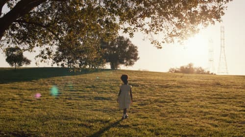 They Charge for the Sun Bild 8