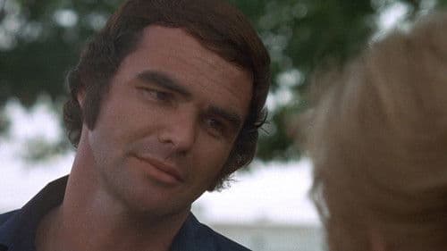 Der Tiger hetzt die Meute Bild 4